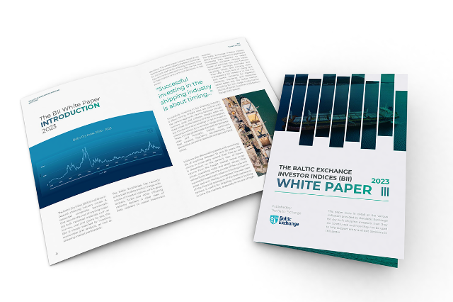 Read the Baltic Exchange's Investor Indices White Paper